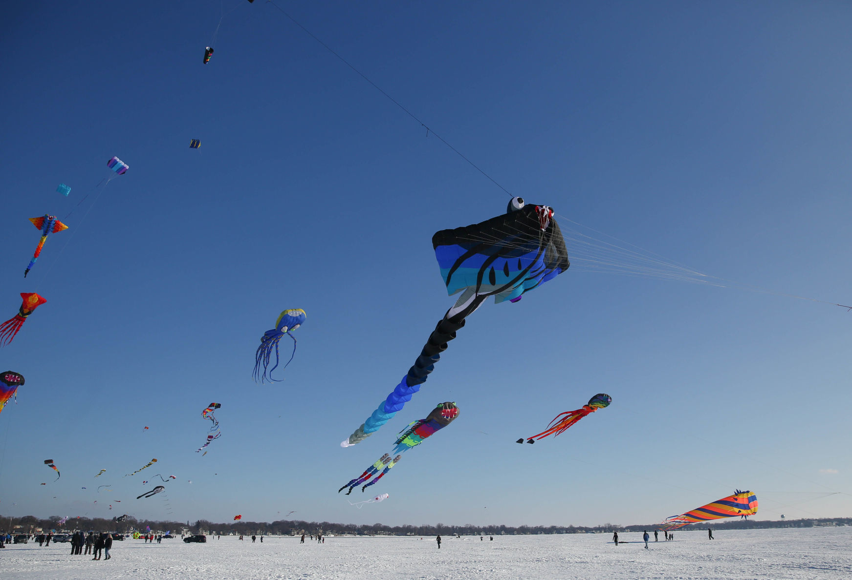 Color the Wind kite festival 02-15-2020 (71).jpg